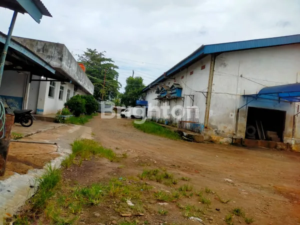 image PABRIK ES BAGUS DI BENGKULU (7)