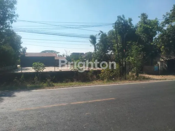 image DISEWA PENGGILINGAN PADI (6)