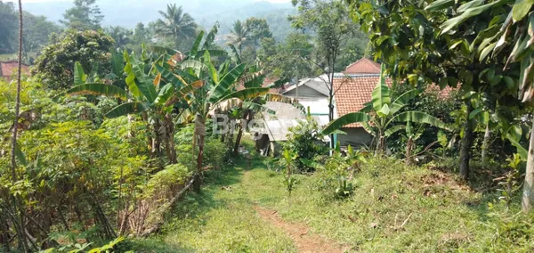 image TANAH 4810MTR HARGA BAWAH PASARAN NAGGUNG BOGOR (1)