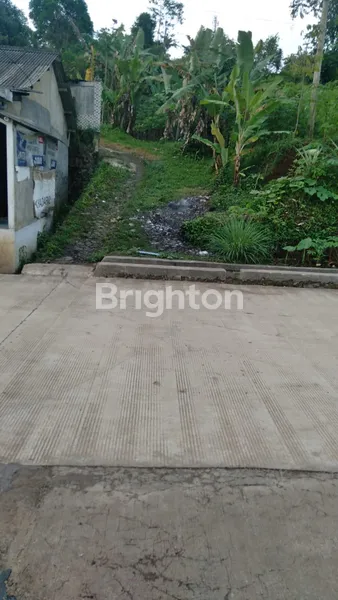 image TANAH 4810MTR HARGA BAWAH PASARAN NAGGUNG BOGOR (6)