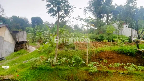 image TANAH 4810MTR HARGA BAWAH PASARAN NAGGUNG BOGOR (8)