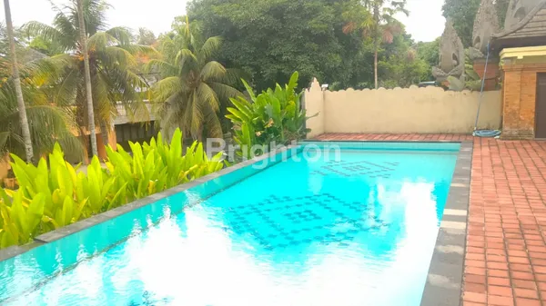 image BALI ARUM MAS (2)