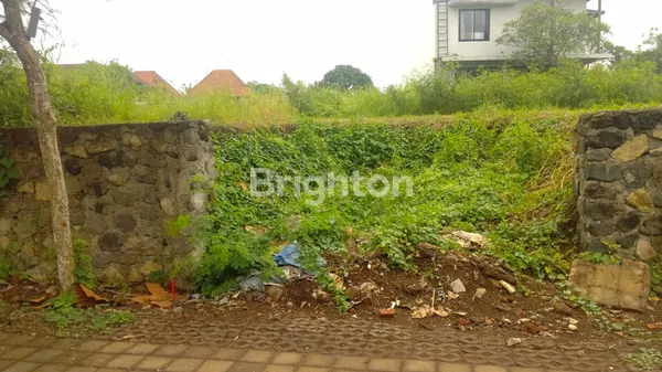 image BALI ARUM MAS (6)