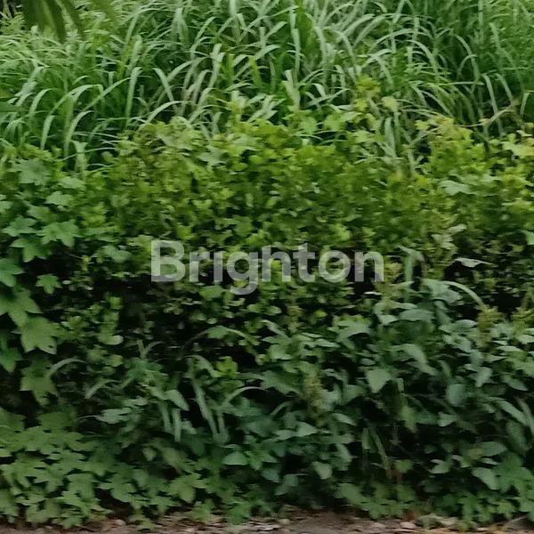 image KAVLING KEPUTIH TEGAL DEKAT BUMI MARINA EMAS COCOK UNTUK KOS (1)