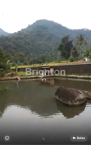 TANAH DAN KOLAM IKAN DENGAN MATA AIR YANG BANYAK DI SUBANG