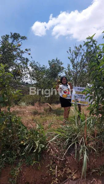 image TANAH KEBUN DI PLUTUK TEKUNG BATU MALANG (2)
