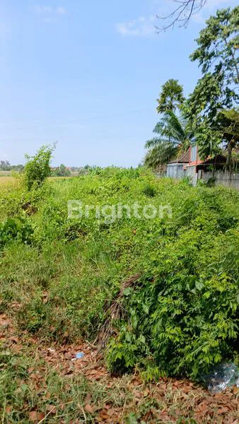 JUAL TANAH DI LUKLUK