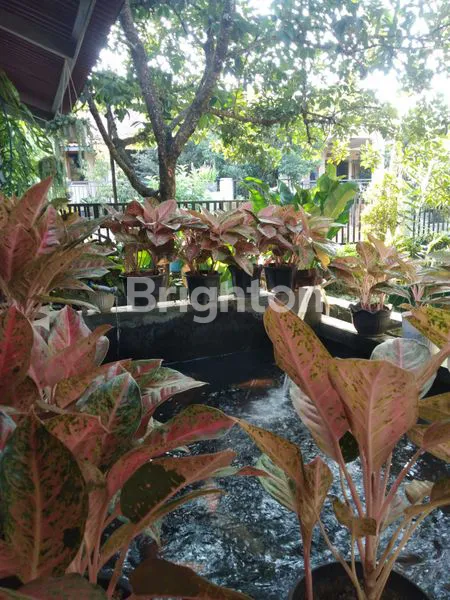 image JUAL  CEPAT, RUMAH TINGGAL NYAMAN DI CINUNUK BANDUNG (6)