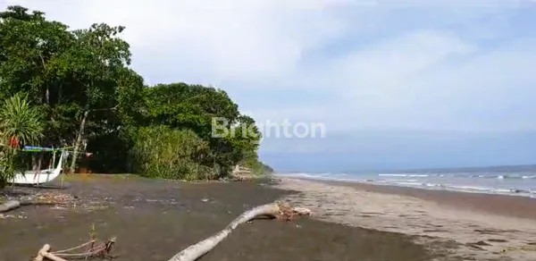 TANAH 3000MTR LOS PANTAI PREMIUM JEMBRANA BALI