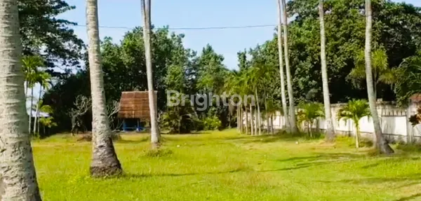 image TANAH LOS PANTAI YEHKUNING BEACH JEMBRANA BALI (4)