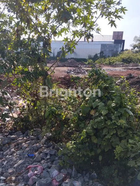 image DIJUAL TANAH TEUKU UMAR BARAT (2)