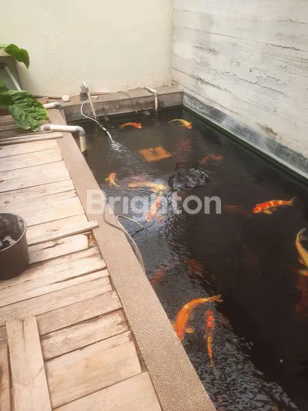 image RUMAH DI CIPETE JAKARTA SELATAN (7)