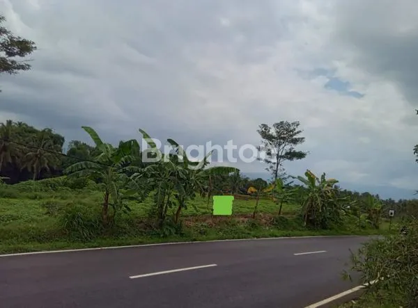 JUAL CEPAT (BU) TANAH DI JL RAYA CIAWI - SINGAPARNA.