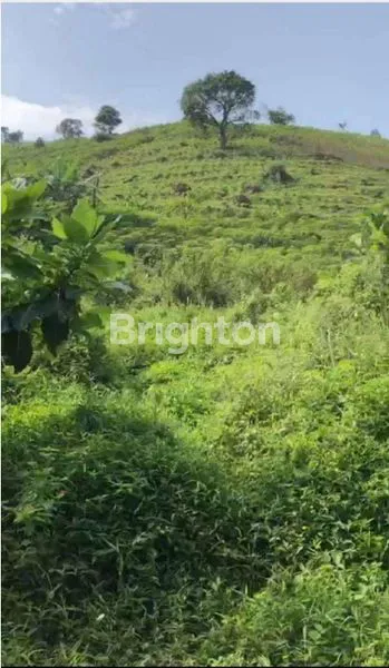 KAVLING SENTUL BOGOR JAWA BARAT