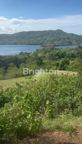 TANAH LUAS VIEW BUKIT DAN LAUT DI GOLOMORI LABUAN BAJO MANGGARAI NUSA TENGGARA TIMUR