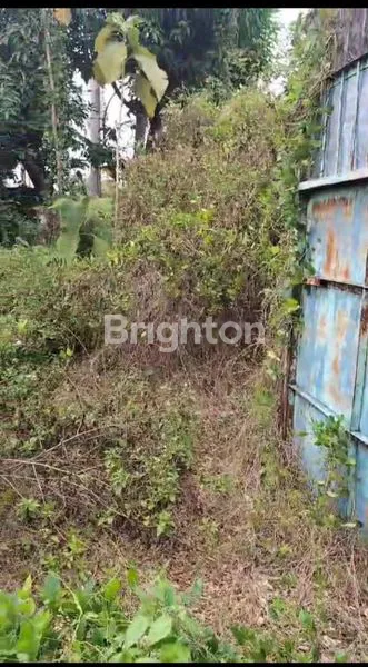 image DISEWAKAN TANAH KOSONG STARTEGIS UNTUK USAHA (3)