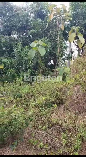 image DISEWAKAN TANAH KOSONG STARTEGIS UNTUK USAHA (4)