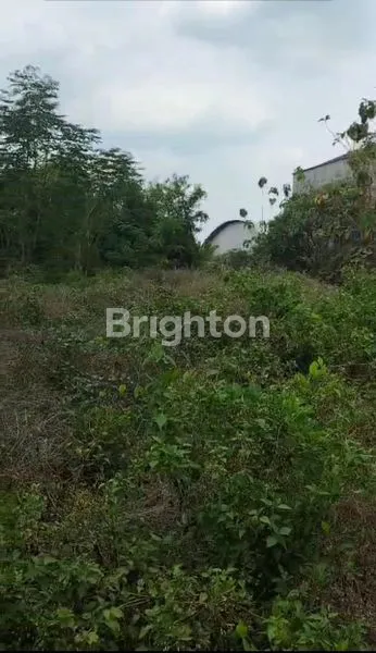 image DISEWAKAN TANAH KOSONG STARTEGIS UNTUK USAHA (5)