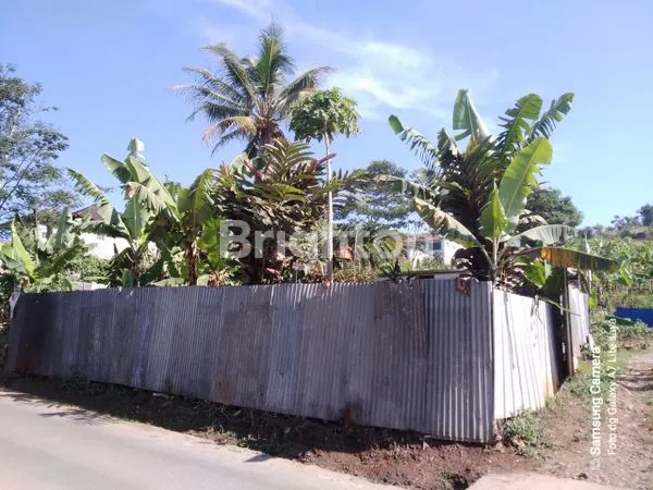 image DI JUAL TANAH KEBUN (1)