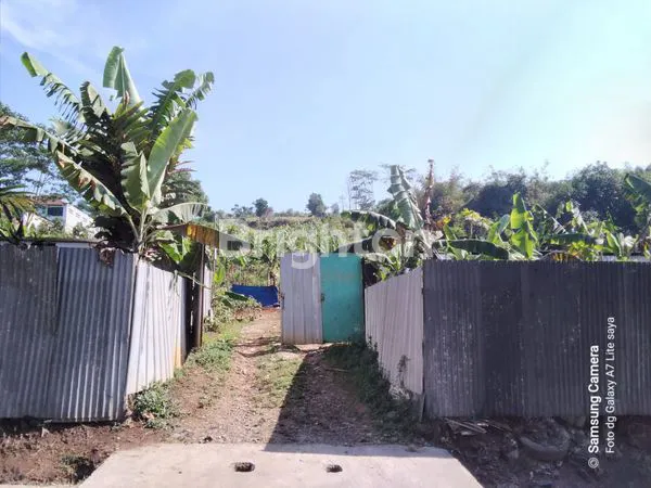 image DI JUAL TANAH KEBUN (2)