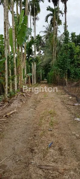 image TANAH LUAS 22.000 M (1)