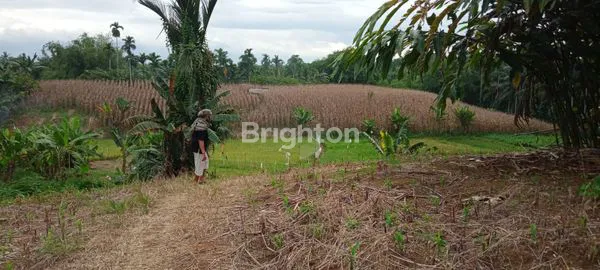 image TANAH LUAS 22.000 M (2)