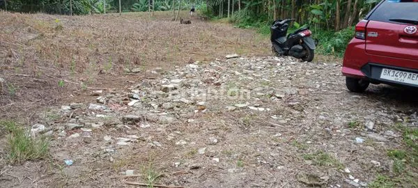 image TANAH LUAS 22.000 M (3)