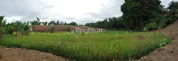 image TANAH LUAS 22.000 M (6)