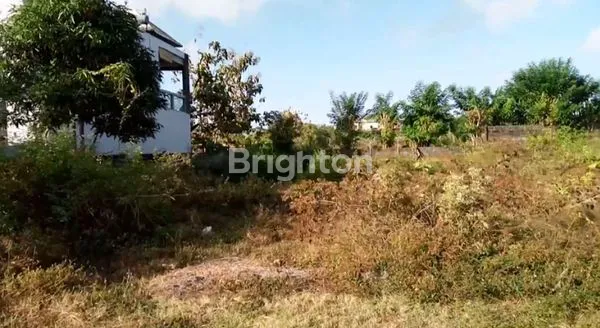 image LAHAN VILLA GOAGONG JIMBARAN BALI (1)