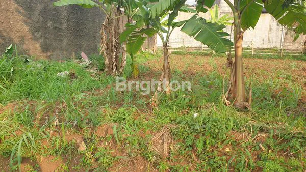 image JUAL CEPAT .LAHAN ASRI DI KOMP BPPB .PASIR MULYA -BOGOR (4)