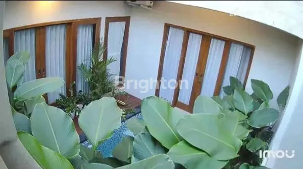 image VILLA CANTIK 3BR DEKAT JALAN TEUKU UMAR DENPASAR (3)