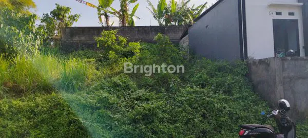 image TANAH MURAH  COCOK UNTUK BANGUNAN RUMAH ATAU VILLA DI KAWASAN MENGWI (1)