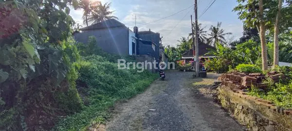 image TANAH MURAH  COCOK UNTUK BANGUNAN RUMAH ATAU VILLA DI KAWASAN MENGWI (8)