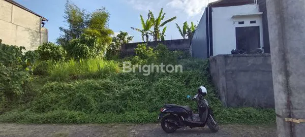 image TANAH MURAH  COCOK UNTUK BANGUNAN RUMAH ATAU VILLA DI KAWASAN MENGWI (5)