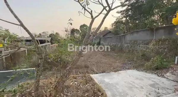 image RUMAH DAN TANAH LUAS DI TURI SLEMAN (7)