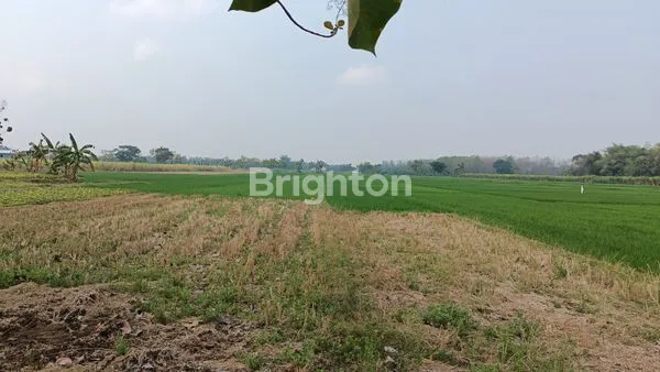 DIJUAL SAWAH SIDOREJO, KABUPATEN MADIUN