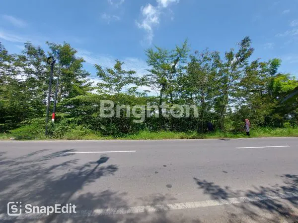 image TANAH BERUPA TAMBAK AKTIF 0 JALAN RAYA CERME - METATU (1)