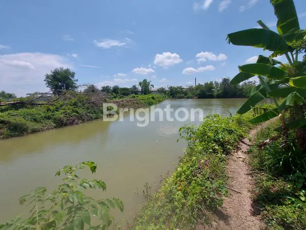 image TANAH BERUPA TAMBAK AKTIF 0 JALAN RAYA CERME - METATU (3)