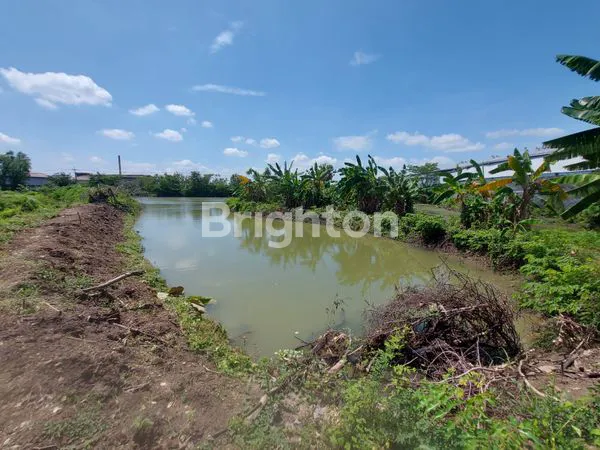 image TANAH BERUPA TAMBAK AKTIF 0 JALAN RAYA CERME - METATU (4)