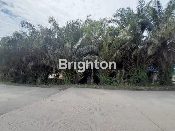 image DIJUAL TANAH PINGGIR JALAN KARIANGAU COCOK DIBUAT PABRIK, GUDANG DAN WORKSHOP HARGA NEGO (2)