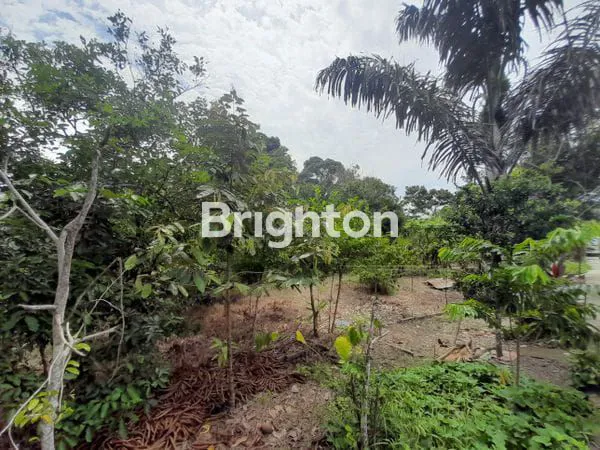 image DIJUAL TANAH PINGGIR JALAN KARIANGAU COCOK DIBUAT PABRIK, GUDANG DAN WORKSHOP HARGA NEGO (3)