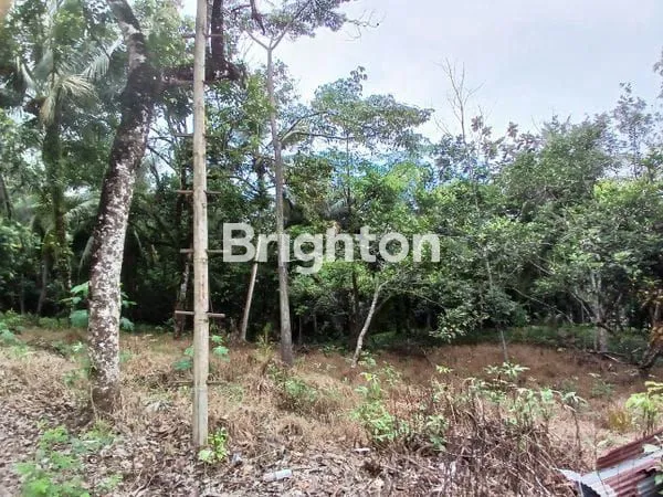 image DIJUAL TANAH PINGGIR JALAN KARIANGAU COCOK DIBUAT PABRIK, GUDANG DAN WORKSHOP HARGA NEGO (4)