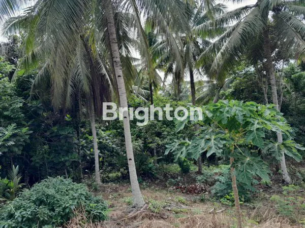 image DIJUAL TANAH PINGGIR JALAN KARIANGAU COCOK DIBUAT PABRIK, GUDANG DAN WORKSHOP HARGA NEGO (5)