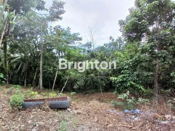 image DIJUAL TANAH PINGGIR JALAN KARIANGAU COCOK DIBUAT PABRIK, GUDANG DAN WORKSHOP HARGA NEGO (6)