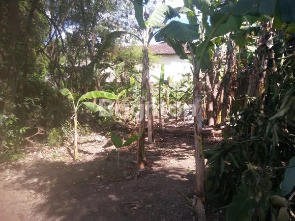 image TANAH KOSONG DI DALAM KAWASAN PERUMAHAN ELITE (2)