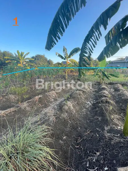 image TANAH PEKARANGAN KEBOMAS (4)