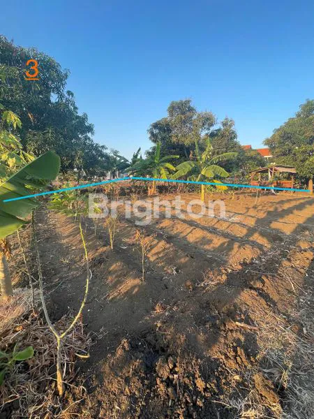 image TANAH PEKARANGAN KEBOMAS (2)