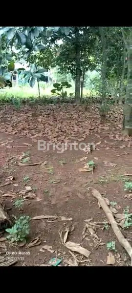 image TANAH STRATEGIS DI GANDOANG DEKAT TAMAN MEKARSARI CILEUNGSI BOGOR (4)