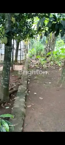 image TANAH STRATEGIS DI GANDOANG DEKAT TAMAN MEKARSARI CILEUNGSI BOGOR (2)