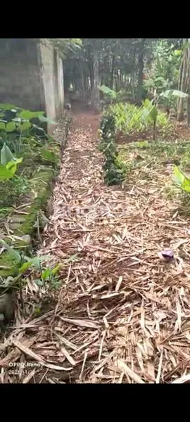 image TANAH STRATEGIS DI GANDOANG DEKAT TAMAN MEKARSARI CILEUNGSI BOGOR (3)